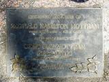 image of grave number 588652